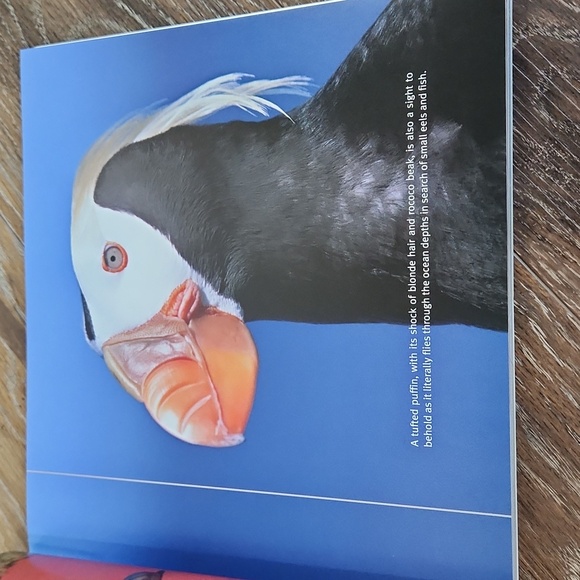 Priceless Vanishing Beauty of a Fragile Planet Book - Picture 12 of 16